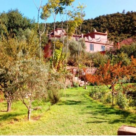Ourika Timalizene Le Jardin Des Delices Hotell Tamezindert Exteriör bild