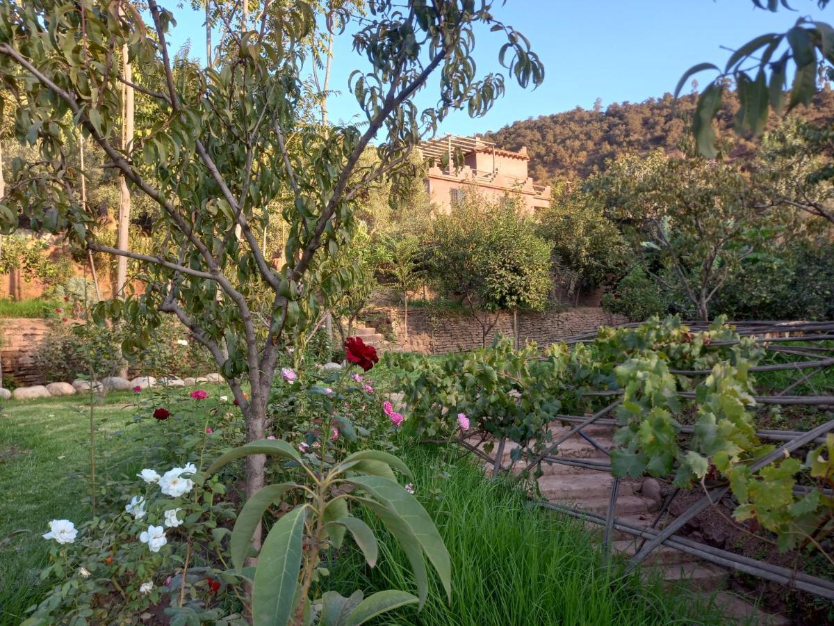 Ourika Timalizene Le Jardin Des Delices Hotell Tamezindert Exteriör bild