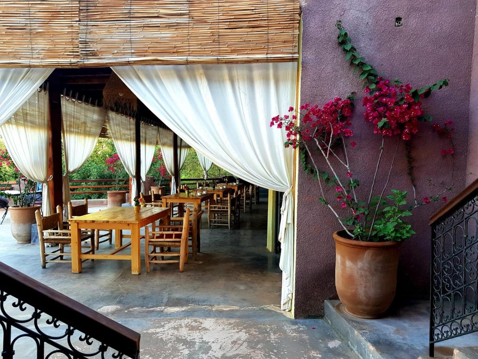 Ourika Timalizene Le Jardin Des Delices Hotell Tamezindert Exteriör bild