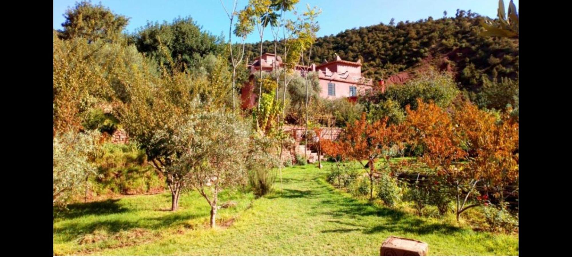 Ourika Timalizene Le Jardin Des Delices Hotell Tamezindert Exteriör bild